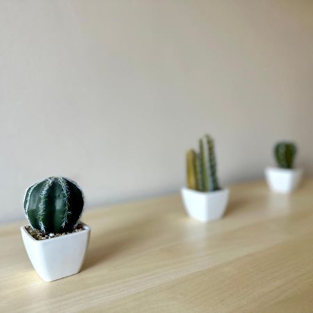 Mmrent Desert Room Gdansk Bagian luar foto